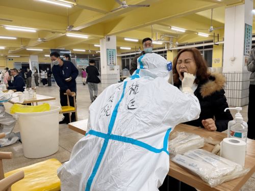 硬核服務(wù) 核酸檢測(cè)送上門(mén)與信息技術(shù)咨詢(xún)的深度融合